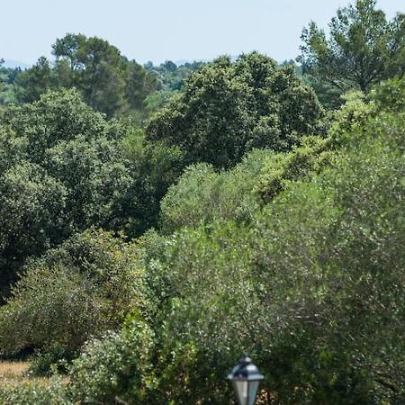 Vila Conchita Sencelles Exteriér fotografie