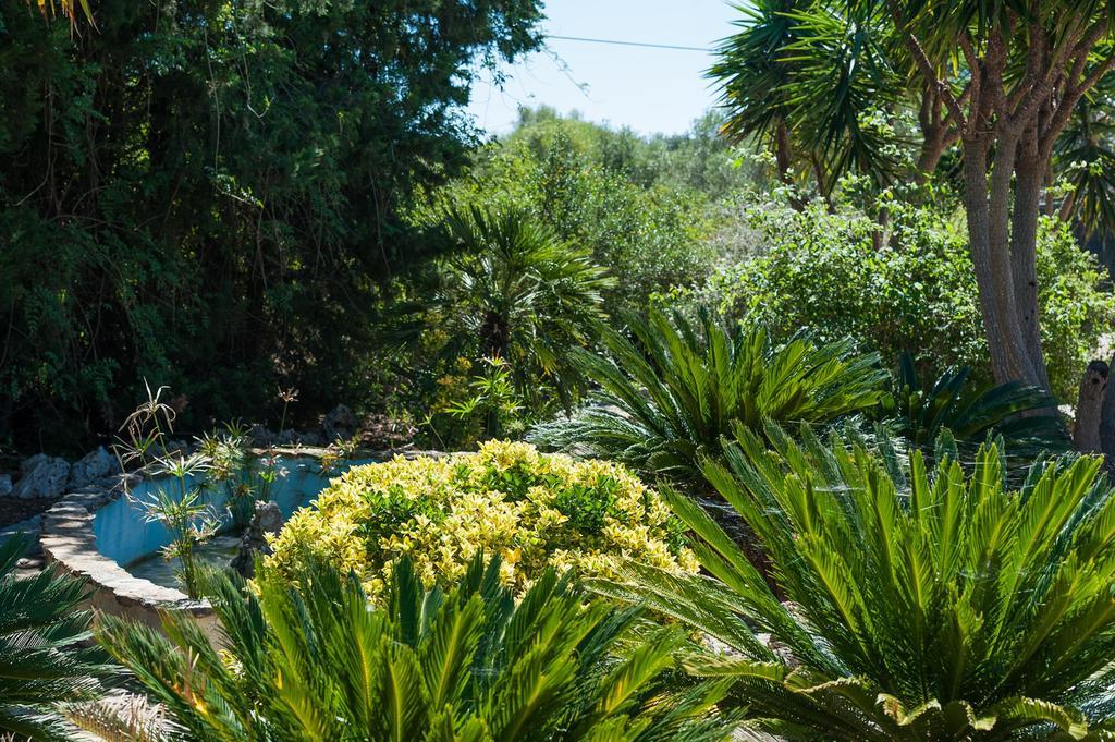 Vila Conchita Sencelles Pokoj fotografie